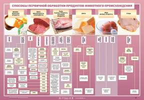 Плакат Способы первичной обработки продуктов животного происхождения, 59х84 см, А1, двухстороннее ла